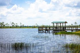 Indigenous Wildlife, Regeneration & Sustainable Travel 